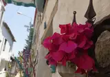 Lilyum Alaçati-Tas Ev foto 12