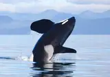 The Natural Wonders of Western Canada foto 4