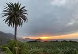 Casa Rural Malpais Trece foto 5