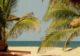 Kololi Beach Club foto 15