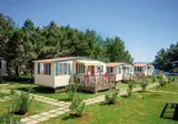 Arena Stupice Campsite foto 6