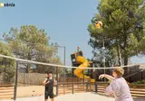 Tucan foto 17