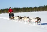 Ontdek het winteravontuur vanuit Lillehammer foto 6