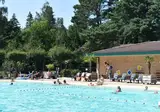Recreatiepark de Paalberg foto 14