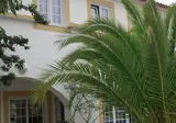 Quinta Do Moinho De Vento foto 10