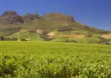 Suid-Afrika Compleet foto 14