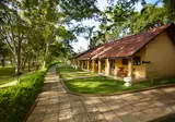 Habarana Village by Cinnamon foto 6