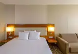 Mövenpick Geneve foto 11