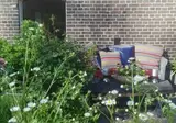 In de Tuin van Dorth foto 3