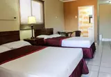 Hotel Coconut Inn foto 26