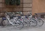 Accademia foto 25