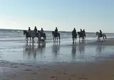 Taïga Conil foto 16