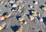 Holiday Suites Westende foto 21