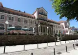 INATEL Palace São Pedro do Sul Hotel foto 9