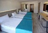 Hotel Palmea foto 8