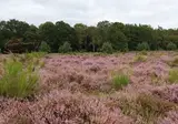 Buitenplaats Beekhuizen foto 17
