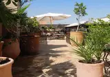 Riad Linda foto 14