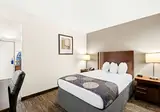 Best Western Yacht Habor Hotel foto 13