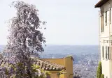 Le Cannelle B&B foto 22