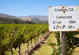 The Natural Wonders of Chile foto 3