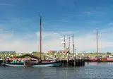 Hollandsch Glorie foto 13