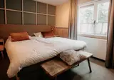 Witte Berken Natuurhotel foto 15