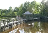 Center Parcs Limburgse Peel foto 13