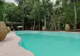 Jolie Jungle Eco Hotel foto 4