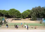 Camping Paradis Le Pearl foto 34