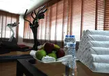 Holiday Inn Express Dubai Safa Park foto 18