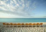 Viva Dominicus Palace by Wyndham, A Trademark All Inclusive foto 5