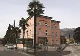 Olivo foto 1