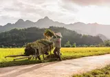 Traditioneel Vietnam foto 1