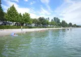 Piantelle foto 18