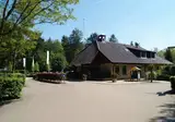 De Utrechtse Heuvelrug foto 15