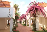 Club Kastalia Holiday Village foto 17