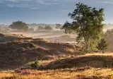 De Bonte Wever Assen foto 5