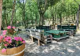 Luxor Chianti Glamping Village foto 3