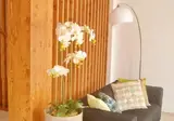 Hotel Ouril Julia foto 3