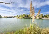 Pont Royal En Provence foto 21