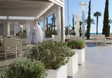 (The Place) Mar Mediterrania by ALEGRIA foto 5