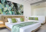 Mykonos Dove Beach Hotel foto 1