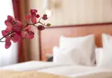 Opera Suites foto 14