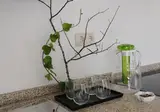 Douro Cister Hotel & SPA foto 11