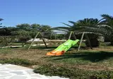 Alkyoni Beach Hotel foto 16