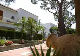 Poggio Aragosta foto 3