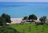 Oliva foto 11