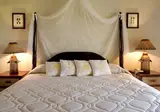 Lifestyle Tropical Beach Resort & Spa foto 23
