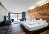 Hotel Lux Alpinae foto 16