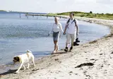 Ontdek Denemarken foto 4
